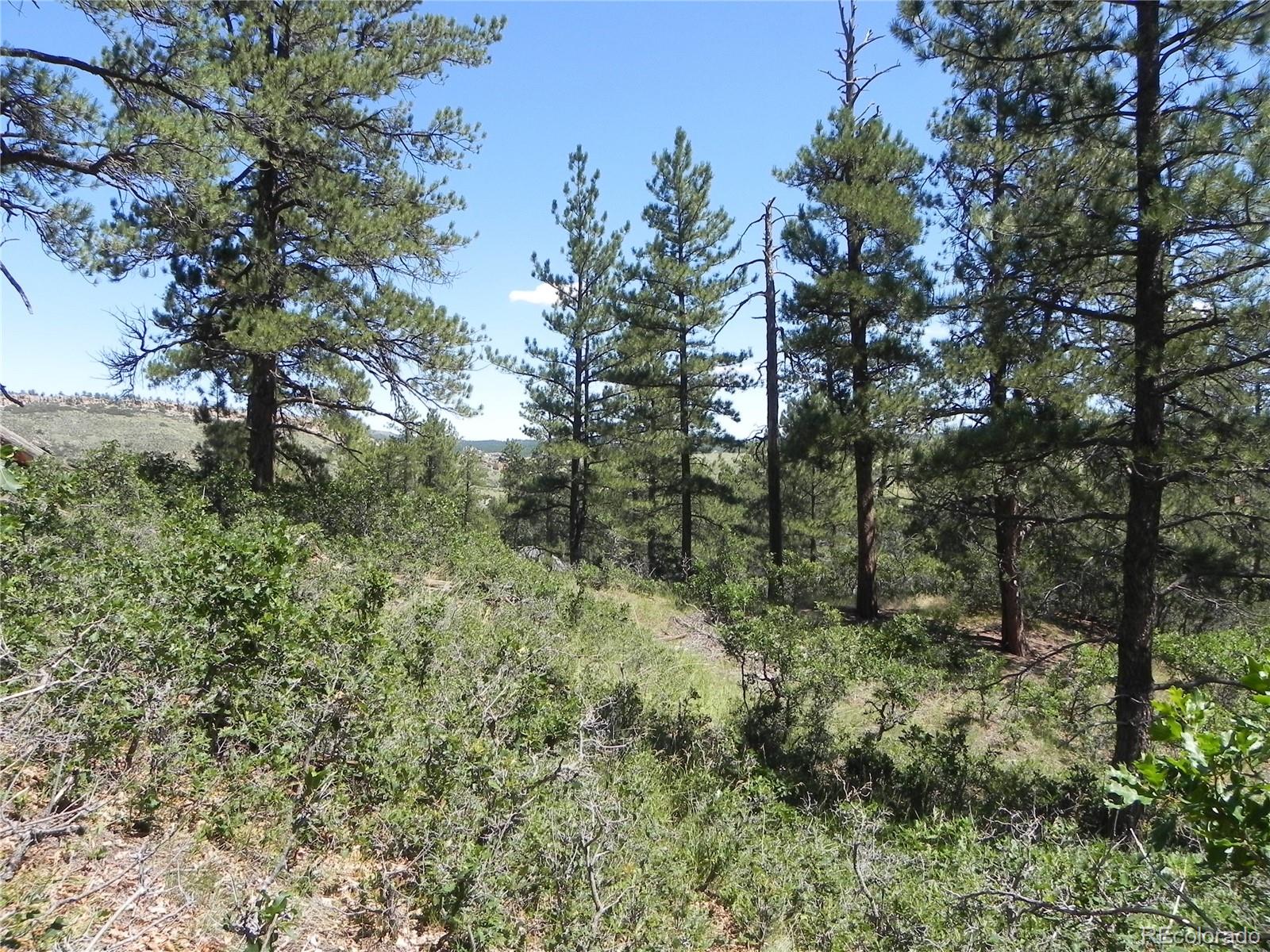 4144 Cheyenne Drive Larkspur CO 80118
