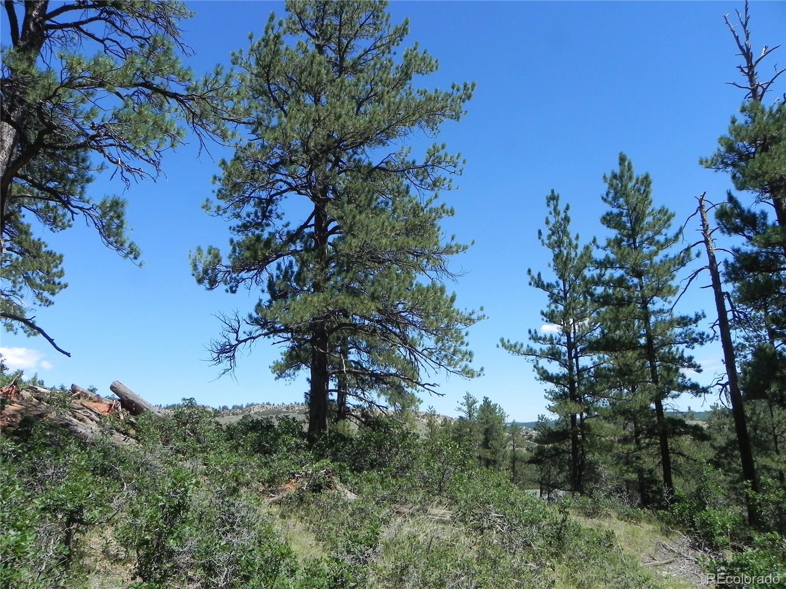 4144 Cheyenne Drive Larkspur CO 80118