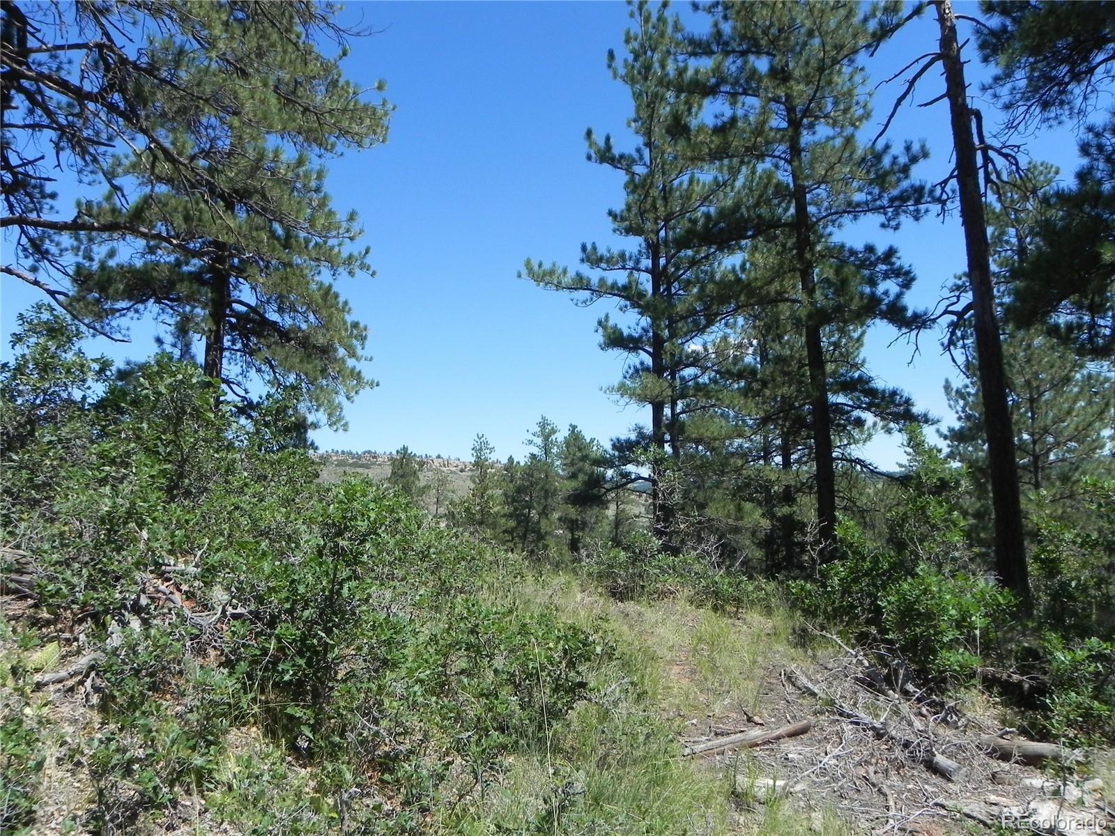 4144 Cheyenne Drive Larkspur CO 80118