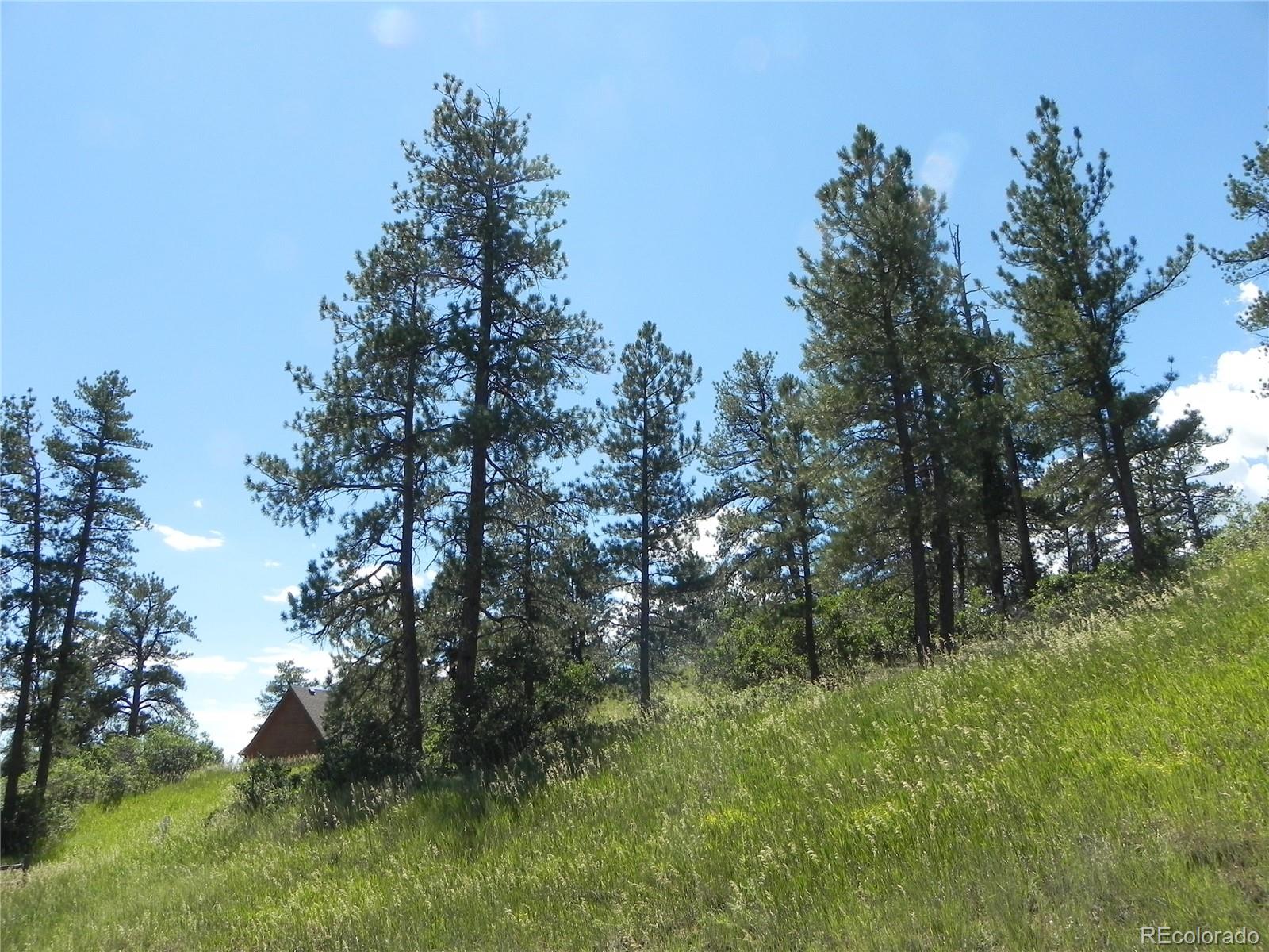 4144 Cheyenne Drive Larkspur CO 80118