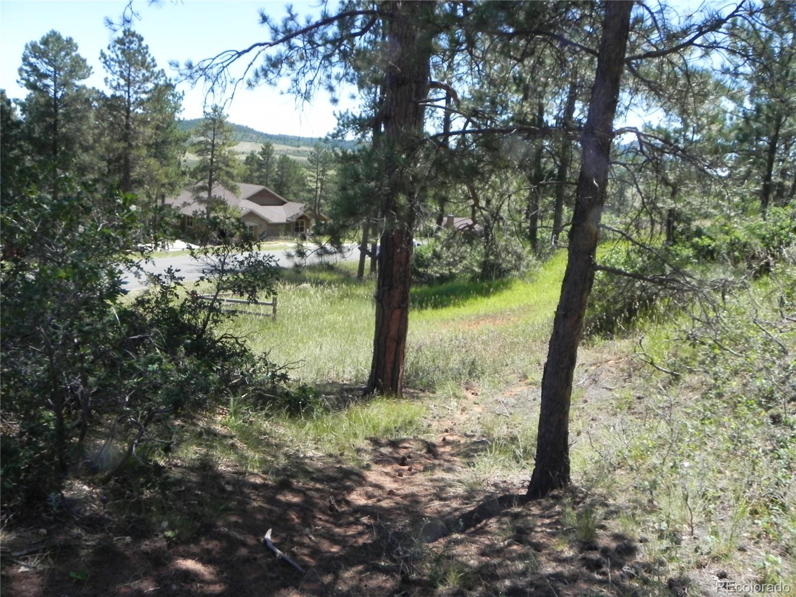 4144 Cheyenne Drive Larkspur CO 80118