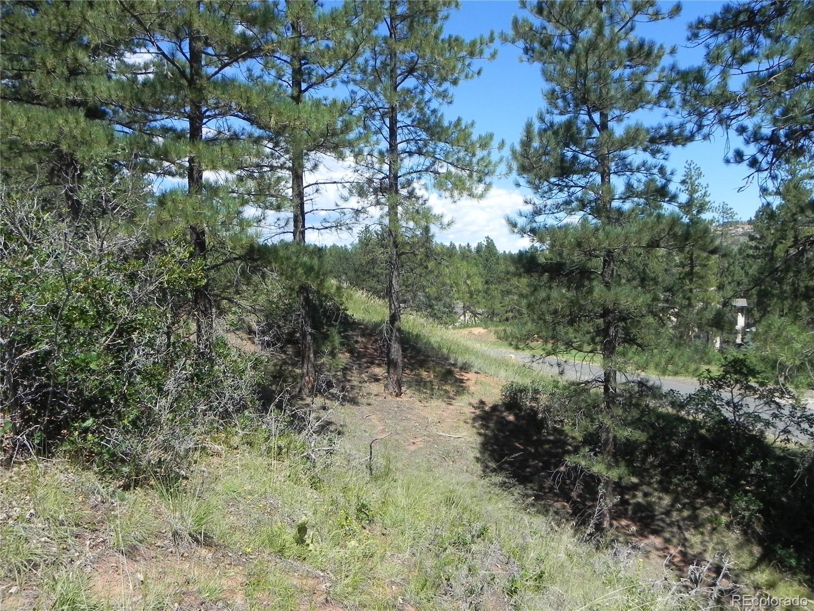 4144 Cheyenne Drive Larkspur CO 80118