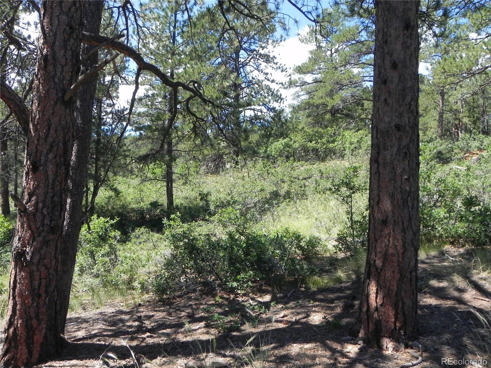 4144 Cheyenne Drive Larkspur CO 80118