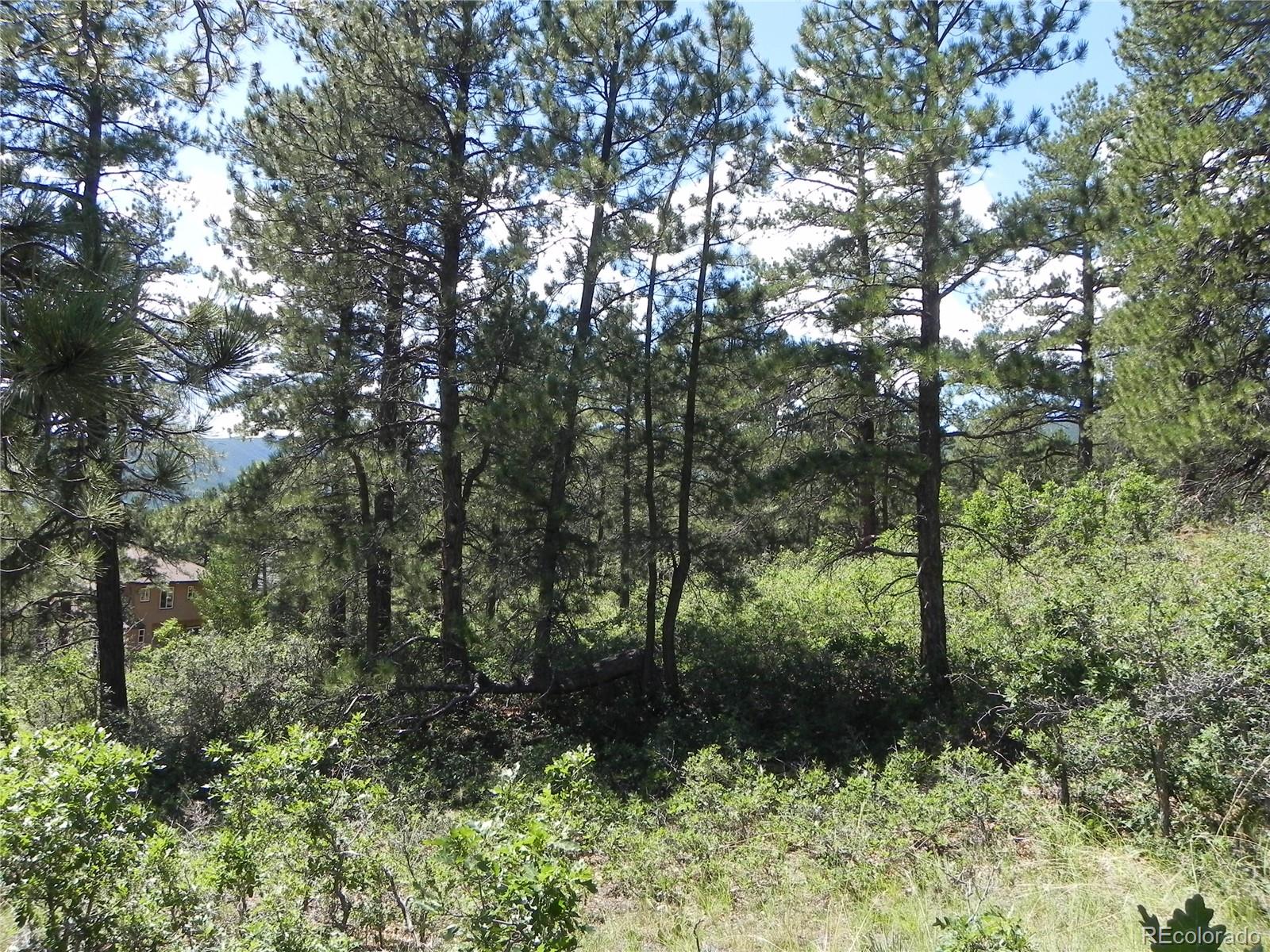 4144 Cheyenne Drive Larkspur CO 80118