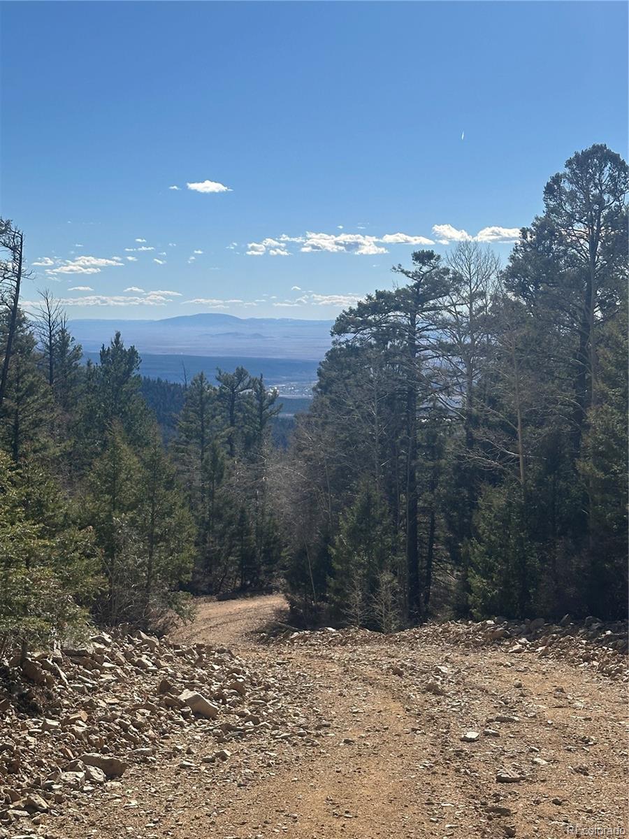 Lot 6742 Starkweather Road San Luis CO 81152