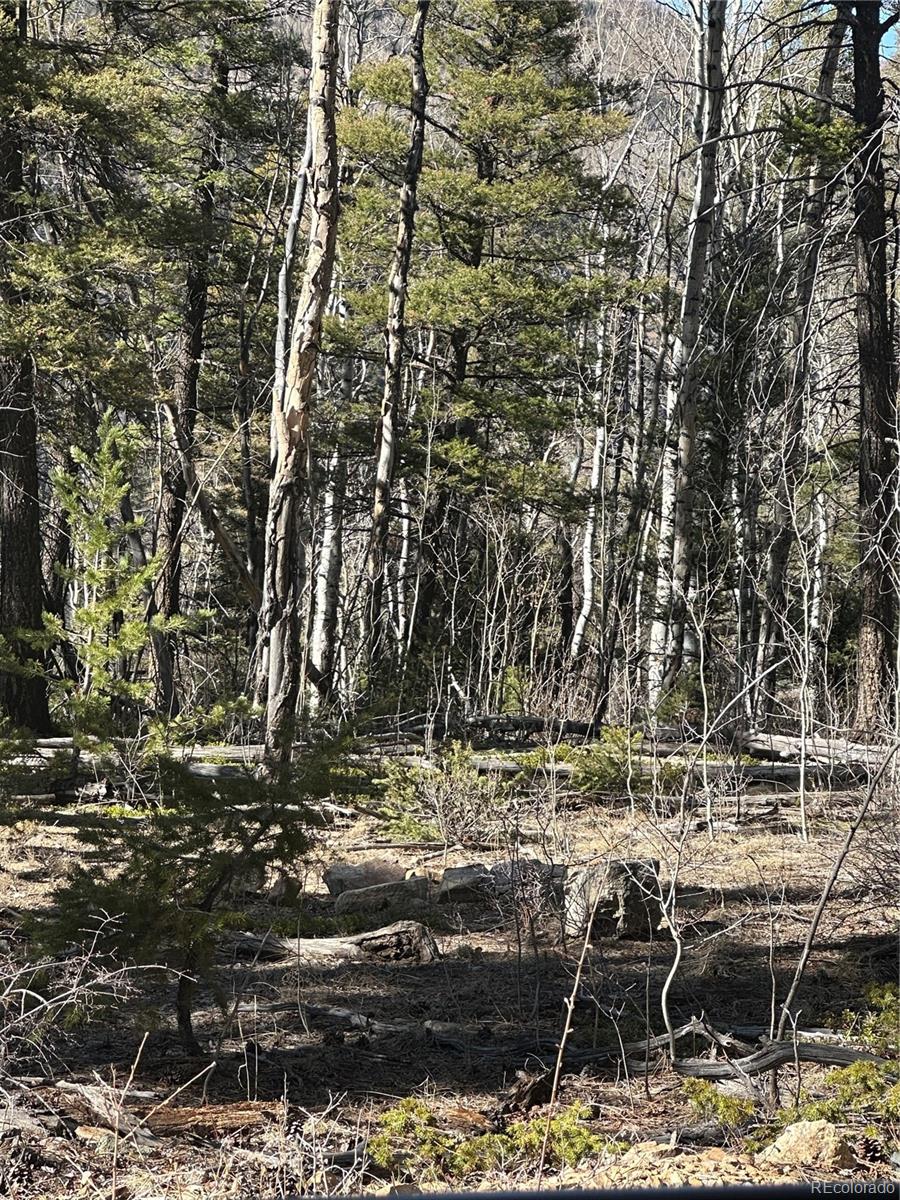 Lot 6742 Starkweather Road San Luis CO 81152