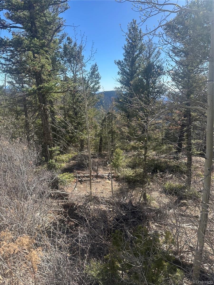 Lot 6742 Starkweather Road San Luis CO 81152