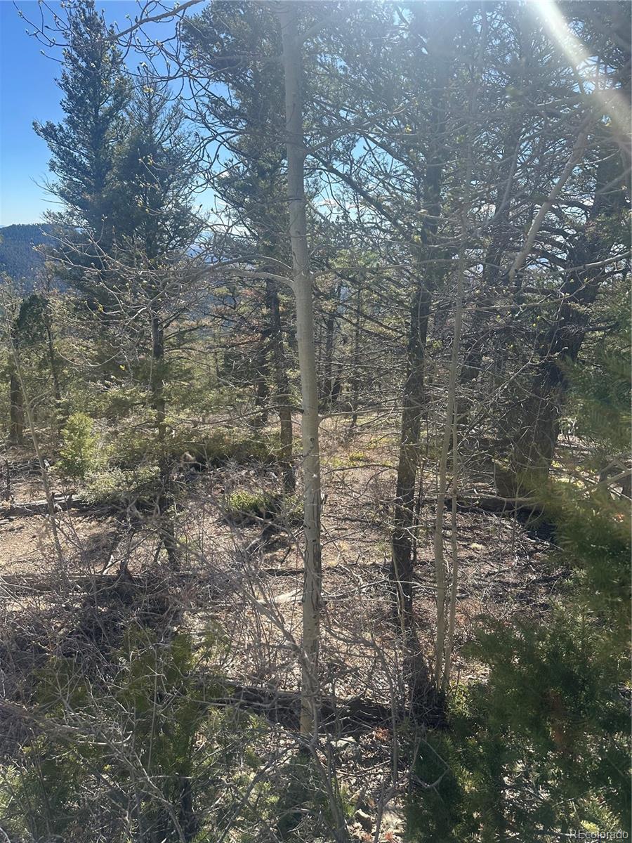 Lot 6742 Starkweather Road San Luis CO 81152