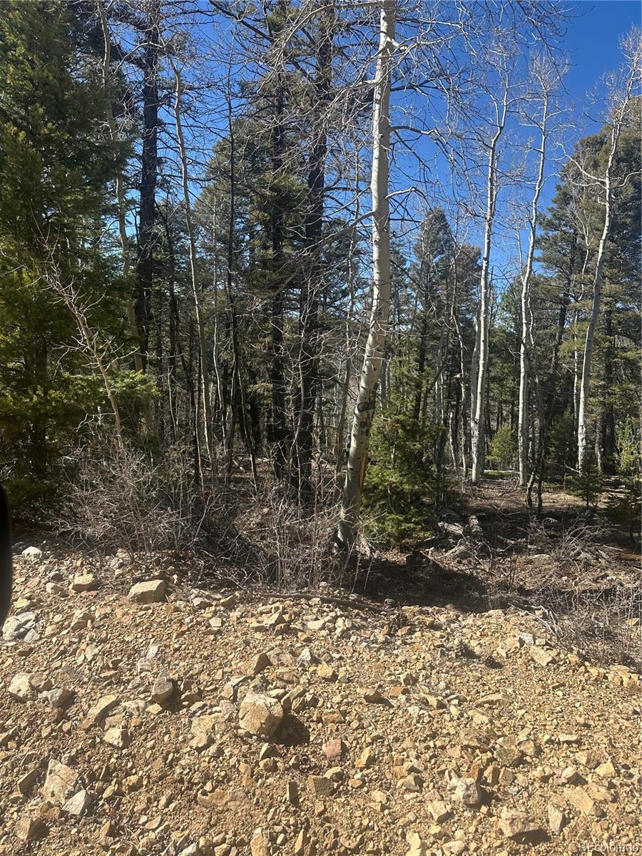 Lot 6742 Starkweather Road San Luis CO 81152