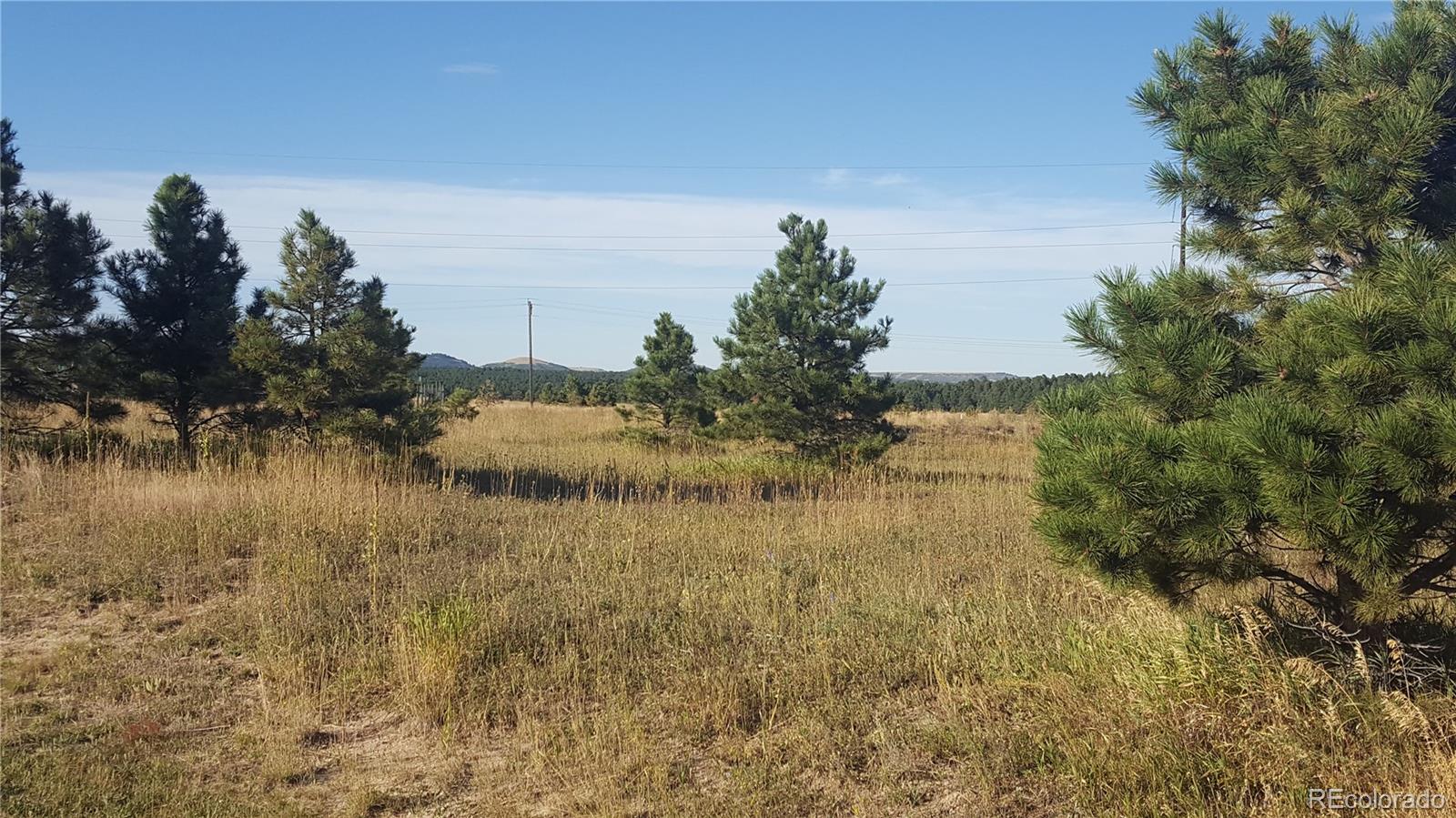 16935 Oldborough Heights Monument CO 80132