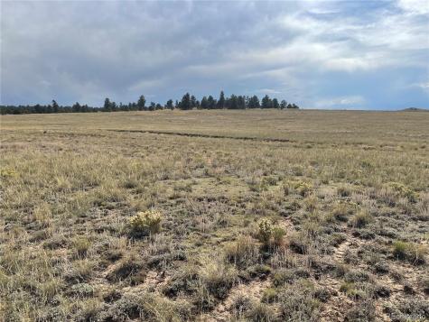 14171 Chickasaw Road Hartsel CO 80449