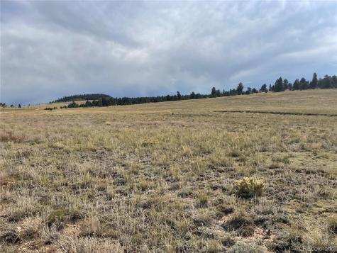 14171 Chickasaw Road Hartsel CO 80449