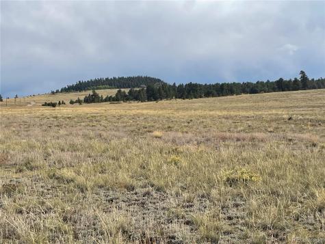 14171 Chickasaw Road Hartsel CO 80449