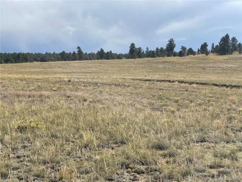 14171 Chickasaw Road Hartsel CO 80449