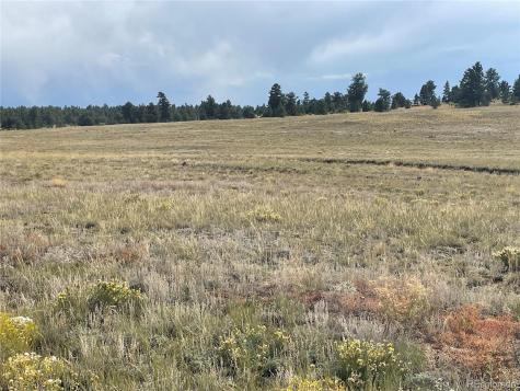 14171 Chickasaw Road Hartsel CO 80449