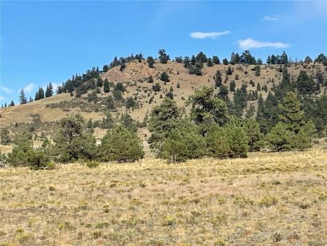 14171 Chickasaw Road Hartsel CO 80449