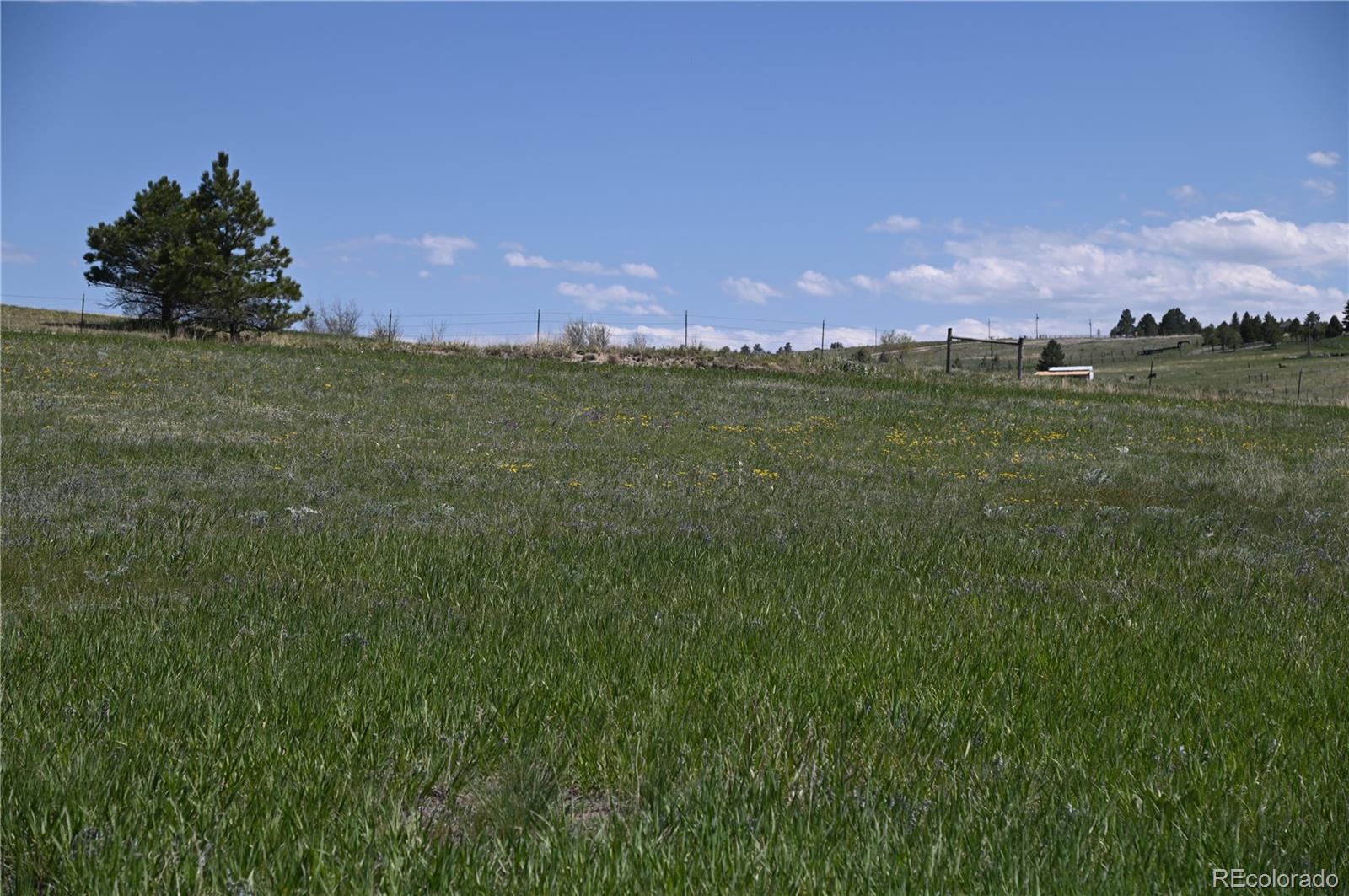 30523 Mountain View Trail Kiowa CO 80117