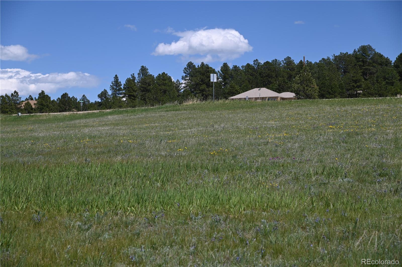30523 Mountain View Trail Kiowa CO 80117