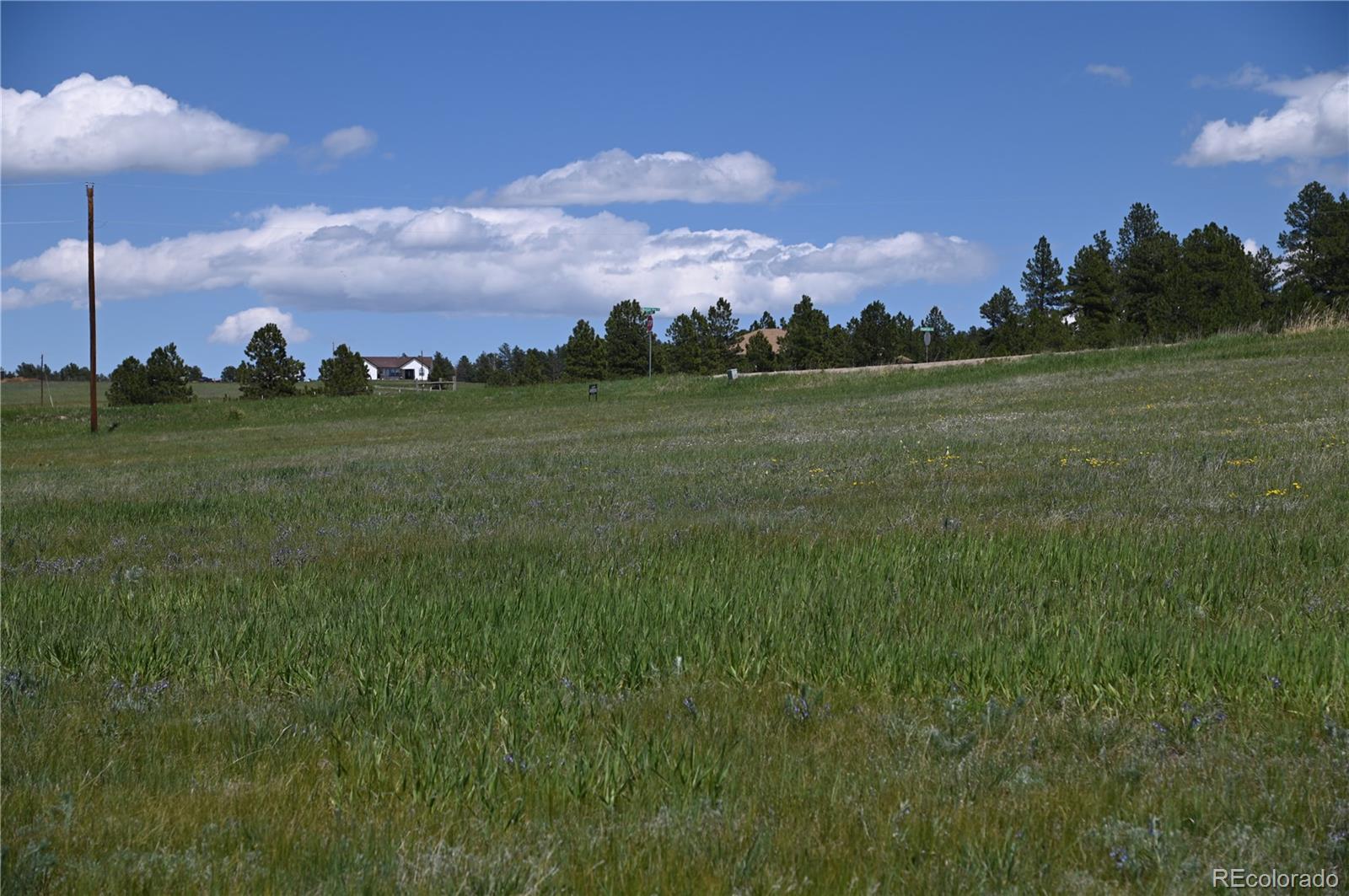 30523 Mountain View Trail Kiowa CO 80117