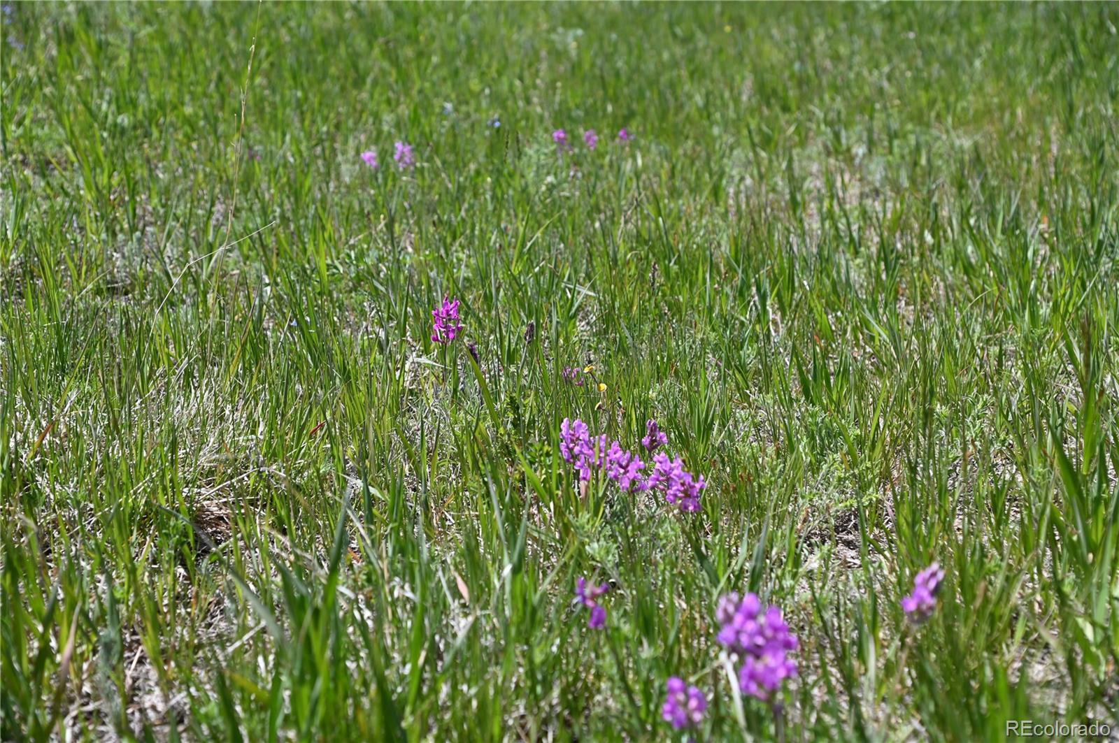 30523 Mountain View Trail Kiowa CO 80117