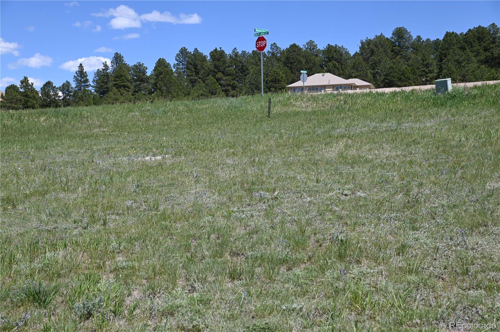30523 Mountain View Trail Kiowa CO 80117
