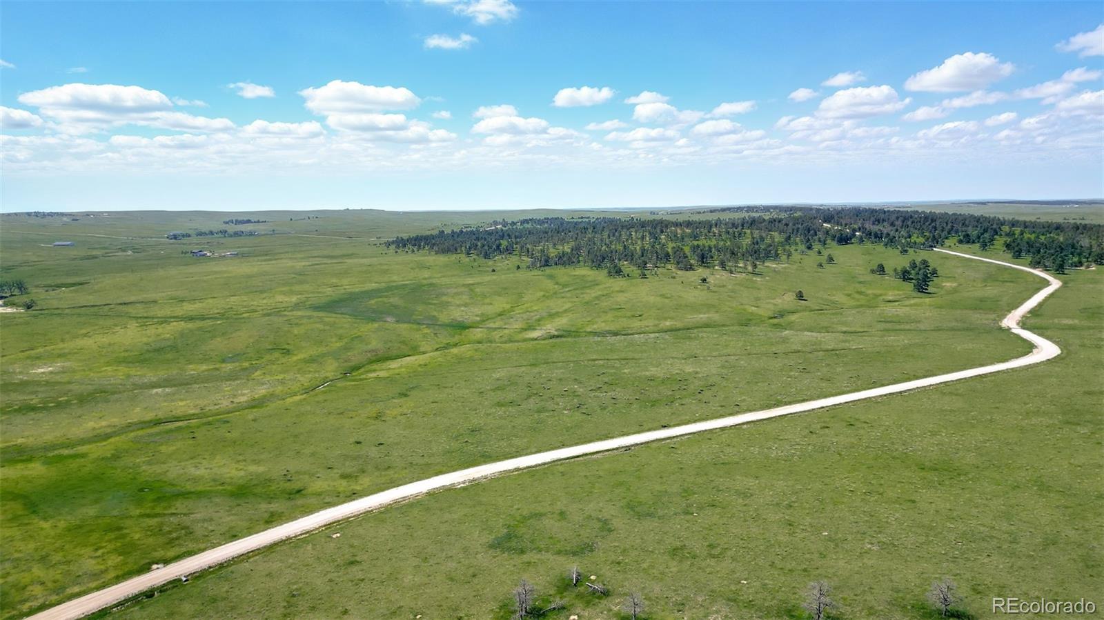 3 County Road 91 Ramah CO 80832