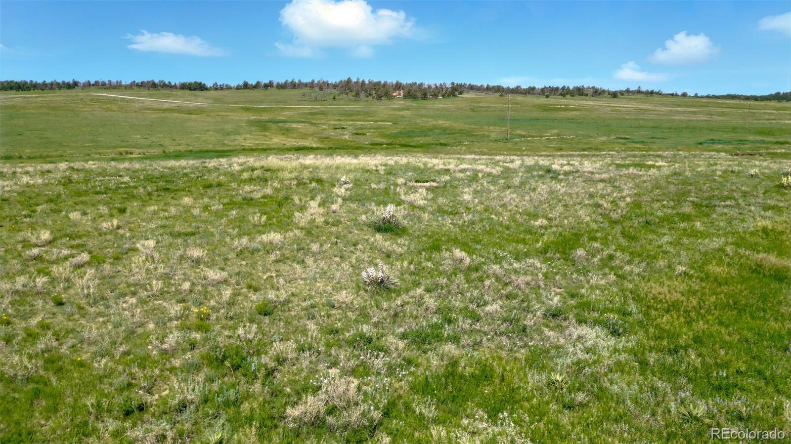 3 County Road 91 Ramah CO 80832