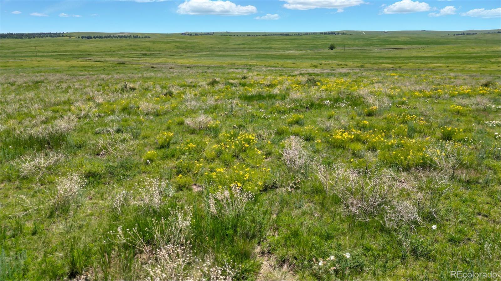 3 County Road 91 Ramah CO 80832