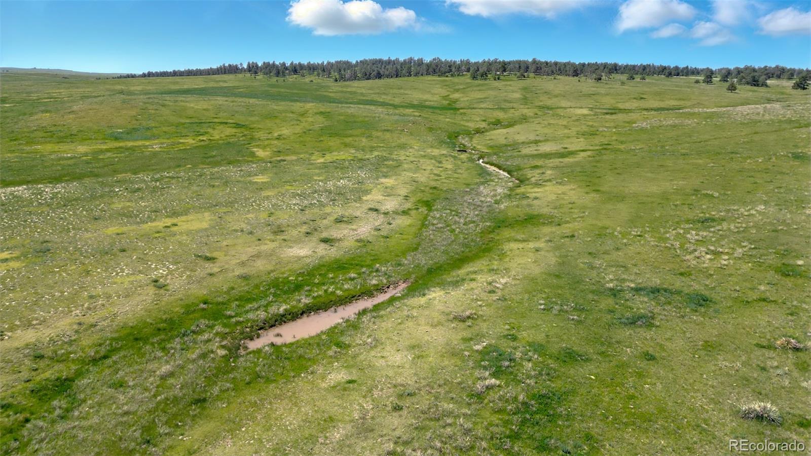 3 County Road 91 Ramah CO 80832