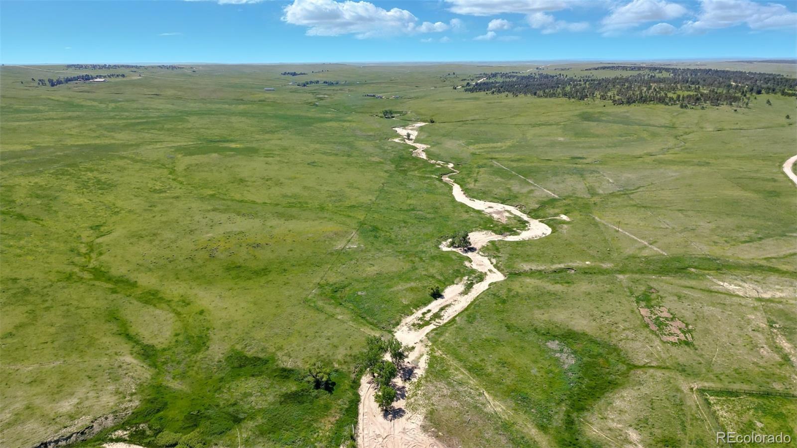 3 County Road 91 Ramah CO 80832