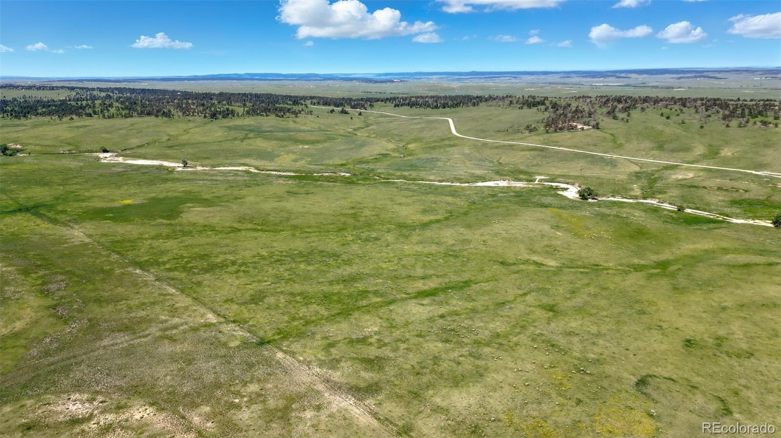 3 County Road 91 Ramah CO 80832