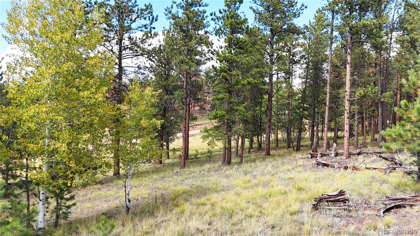 2265 Vagabond Creek Drive Lake George CO 80827