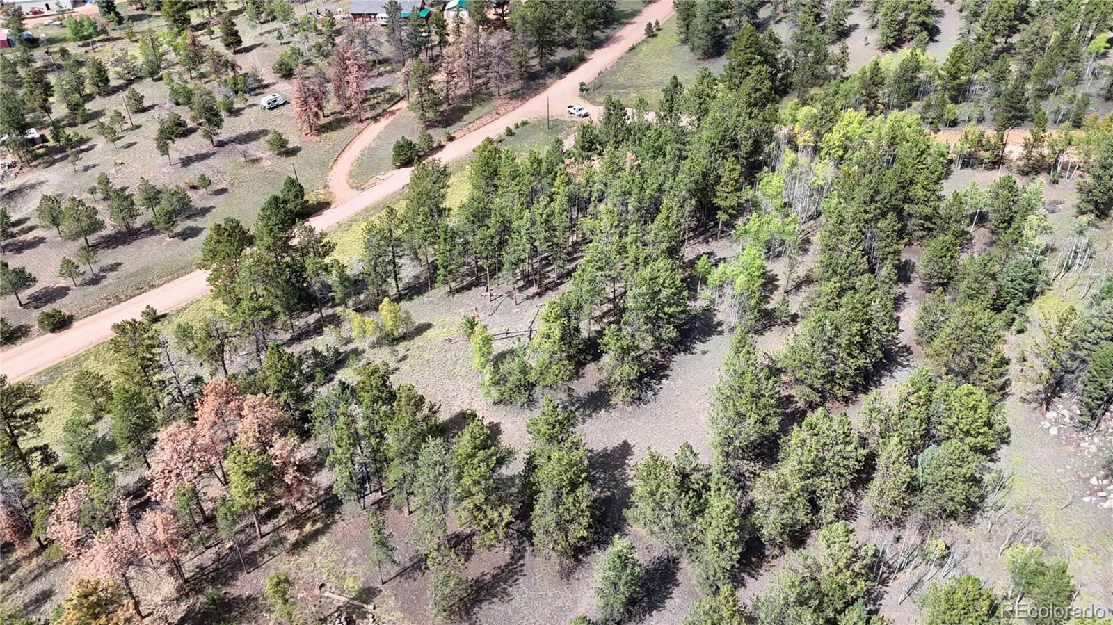 2265 Vagabond Creek Drive Lake George CO 80827