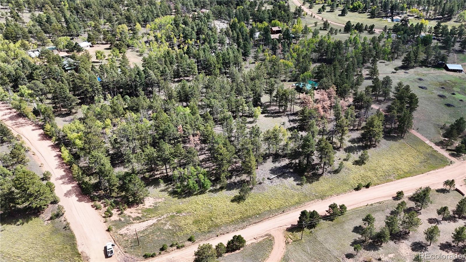 2265 Vagabond Creek Drive Lake George CO 80827