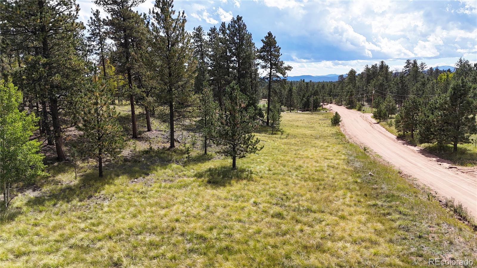 2265 Vagabond Creek Drive Lake George CO 80827