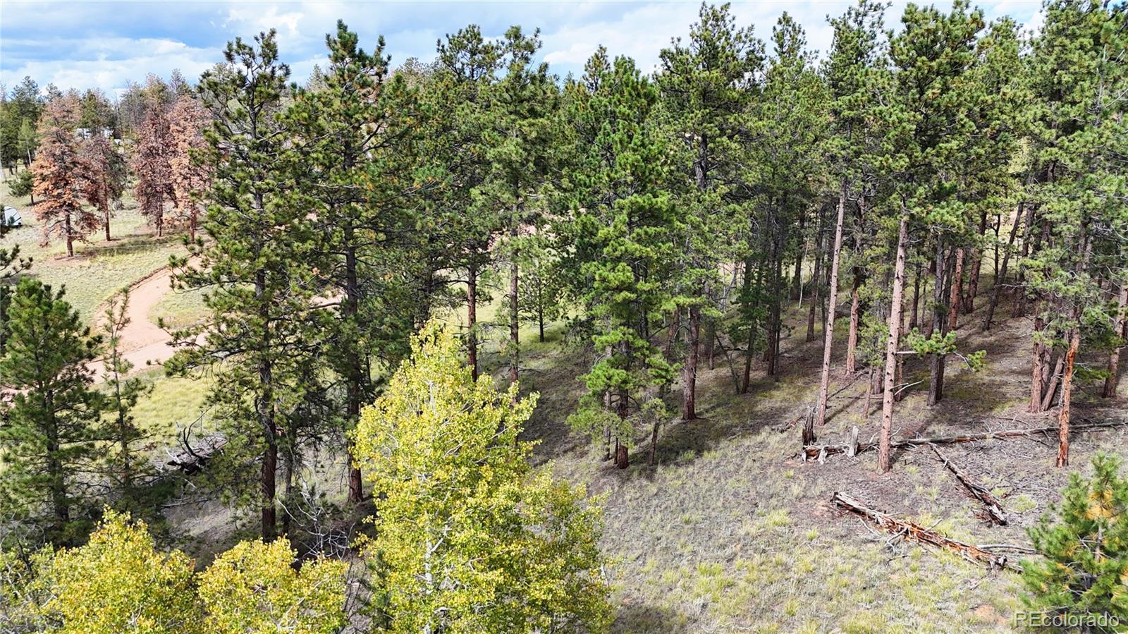 2265 Vagabond Creek Drive Lake George CO 80827
