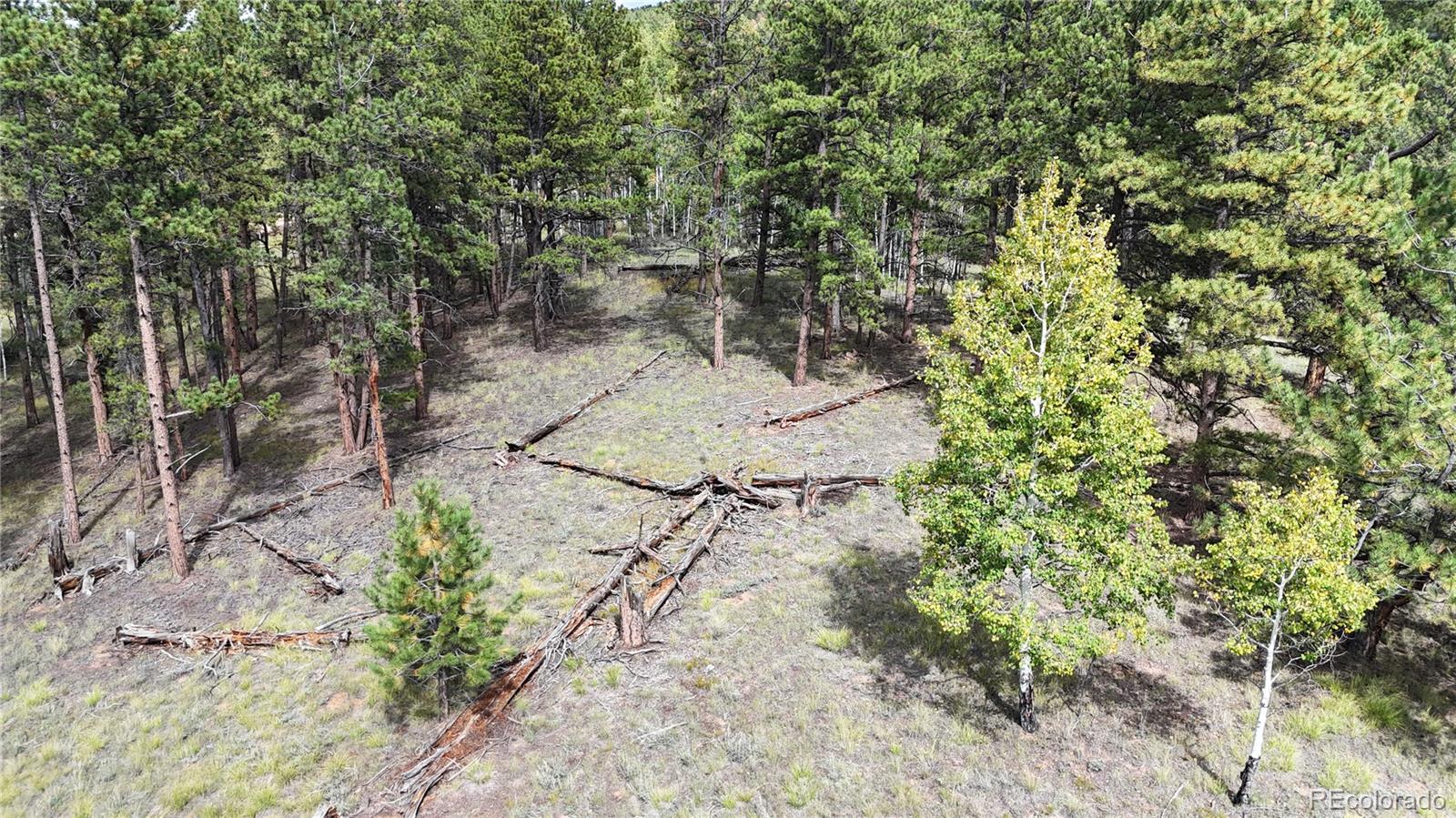 2265 Vagabond Creek Drive Lake George CO 80827