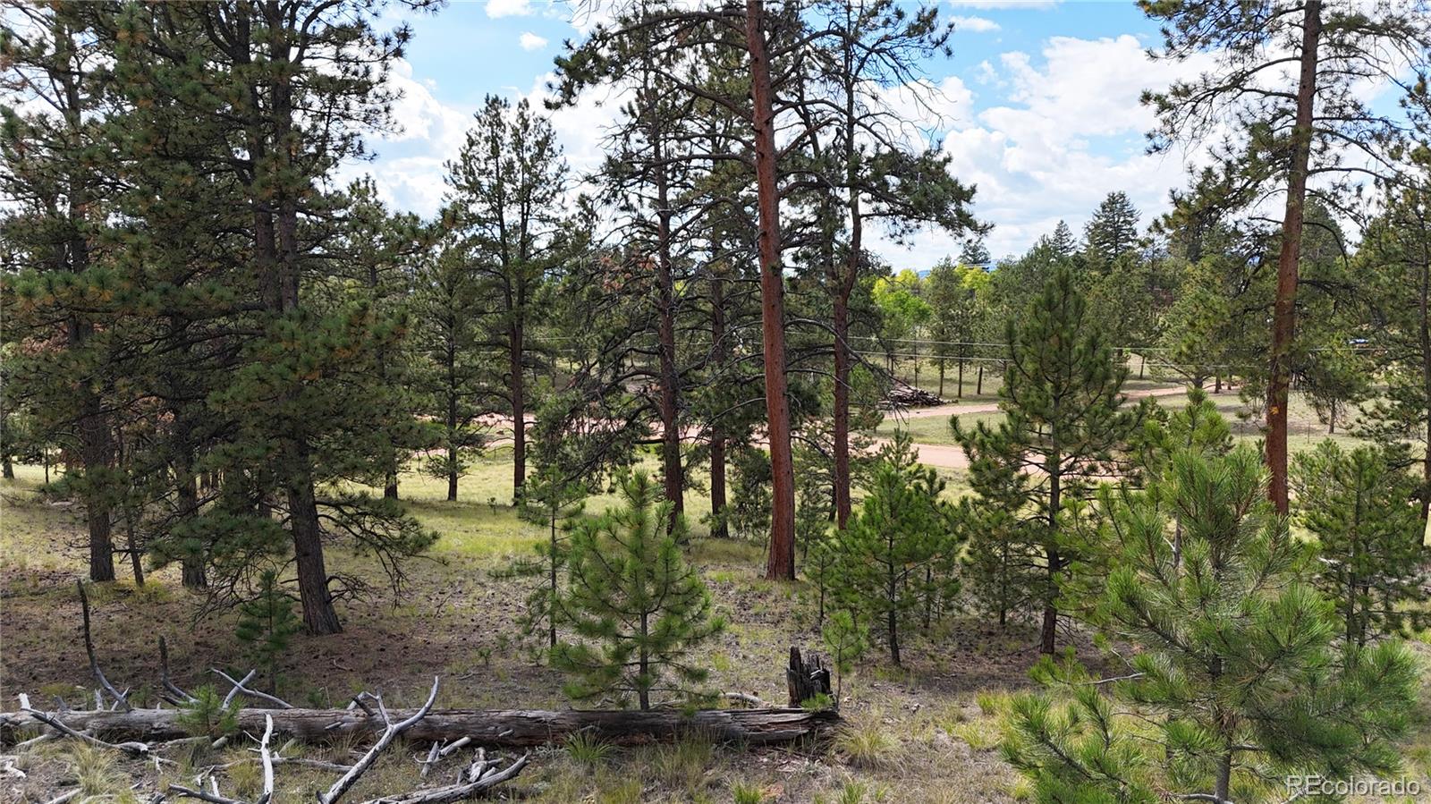 2265 Vagabond Creek Drive Lake George CO 80827