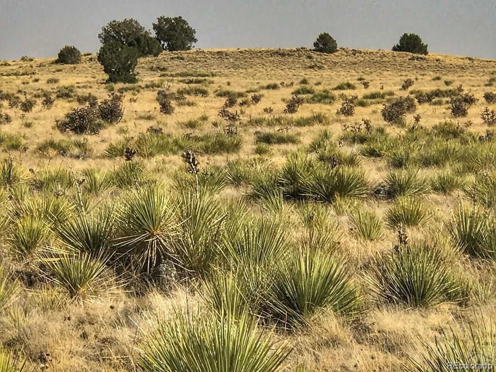 Lot 243 Turkey Ridge Ranch Walsenburg CO 81089