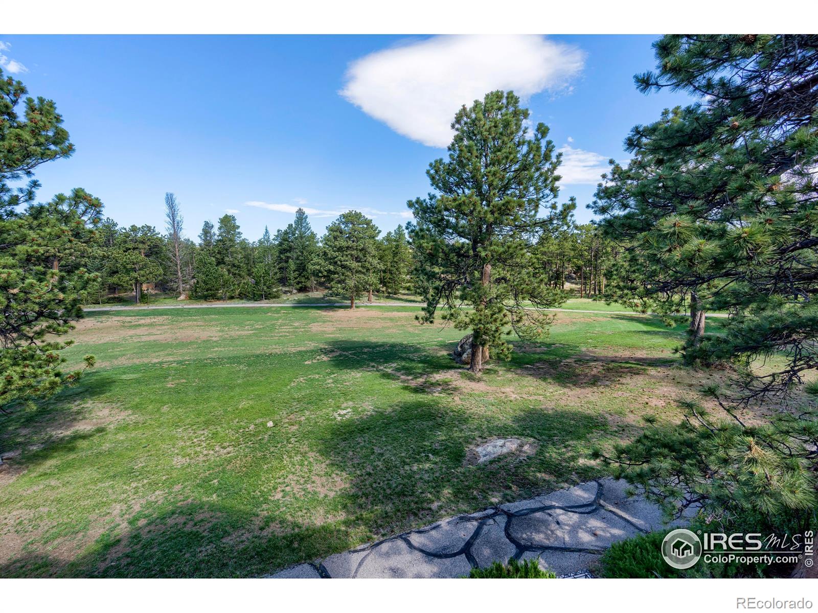 2945 Fox Acres Drive E Red Feather Lakes CO 80545
