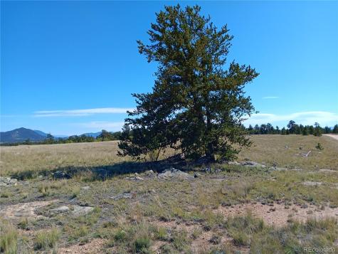 1000 Yellowstone Road Hartsel CO 80449