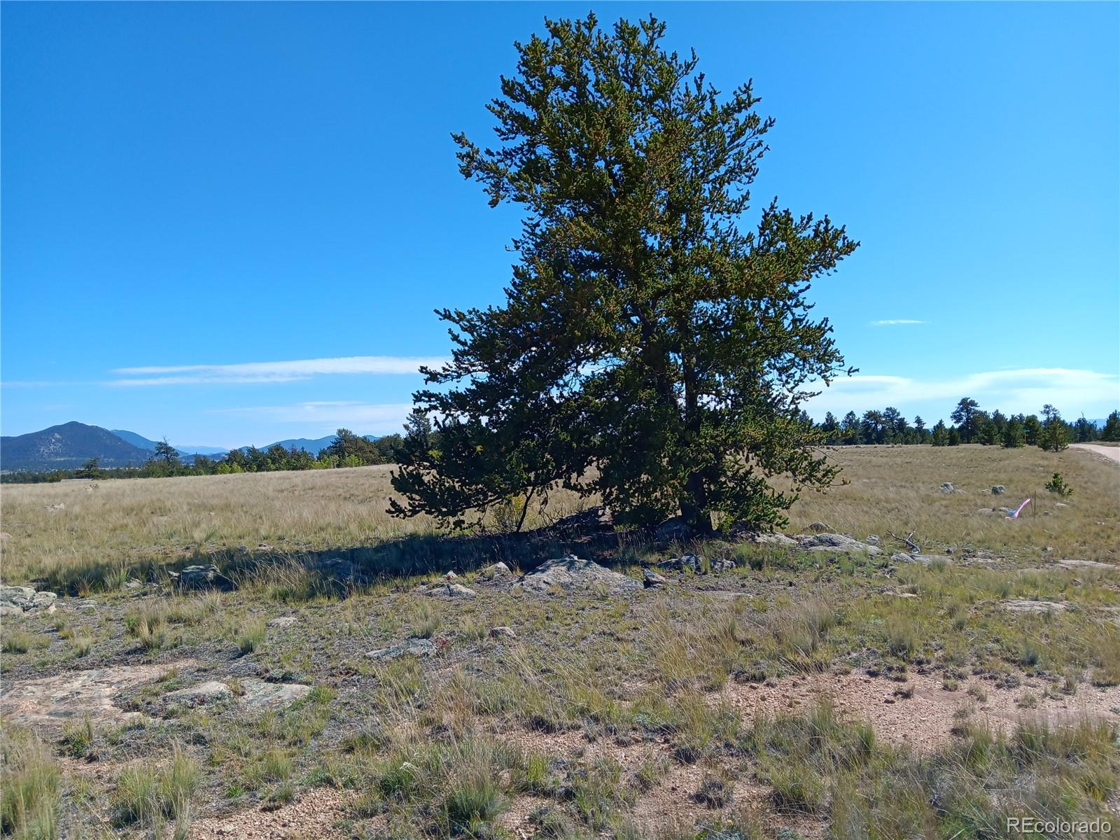 1000 Yellowstone Road Hartsel CO 80449