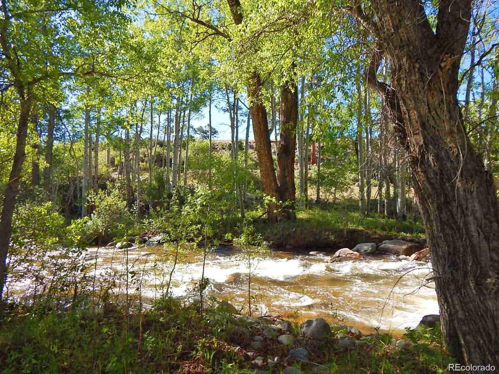 17520 County Road 306 Buena Vista CO 81211