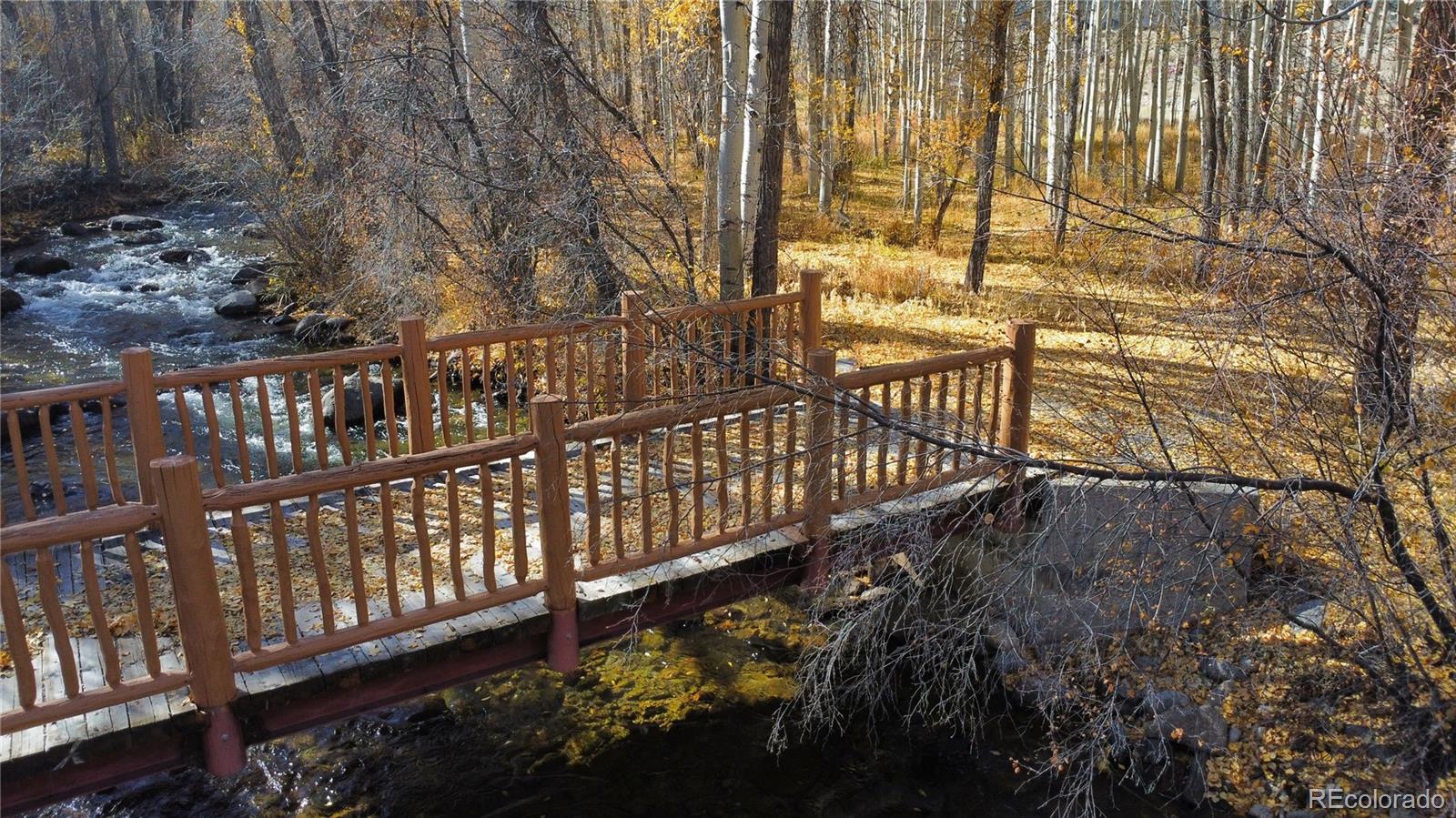 17520 County Road 306 Buena Vista CO 81211