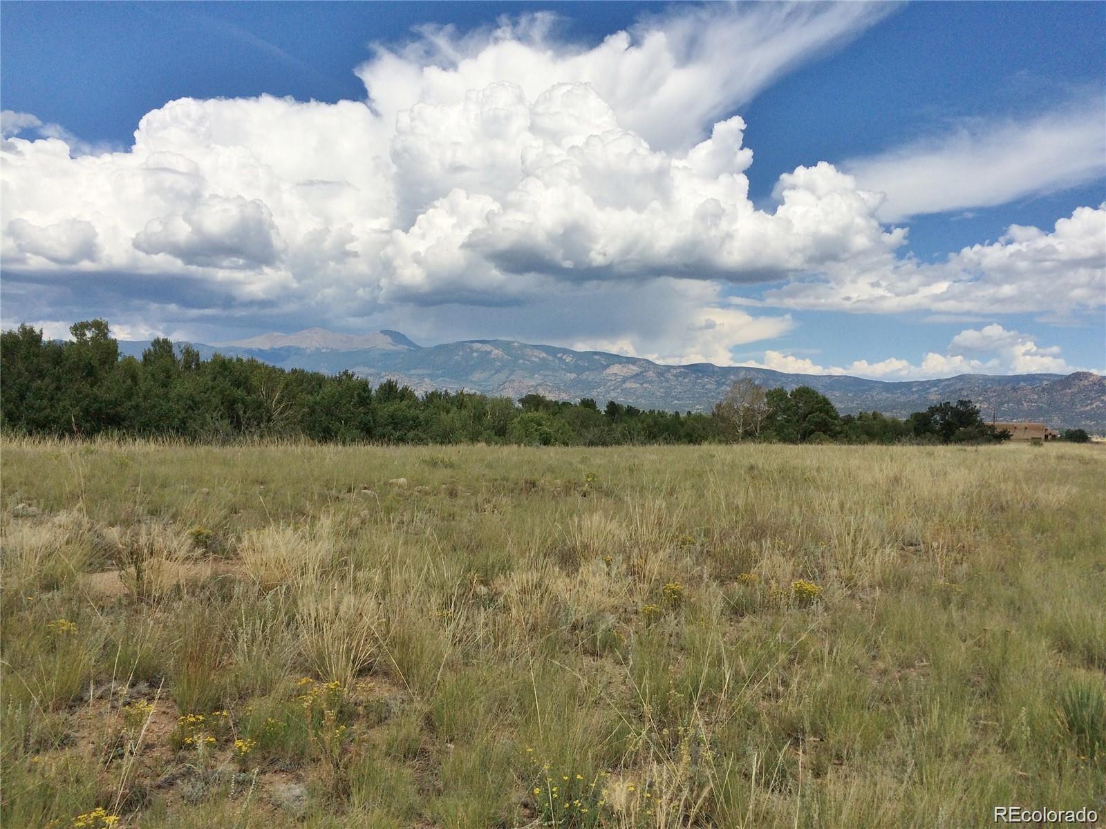 17520 County Road 306 Buena Vista CO 81211