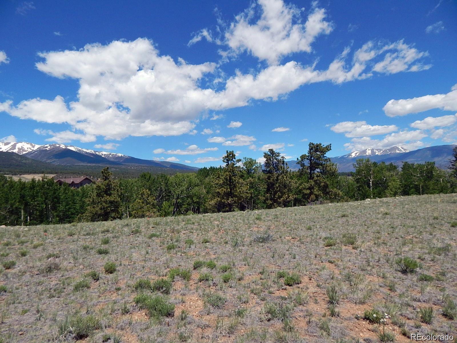 17520 County Road 306 Buena Vista CO 81211