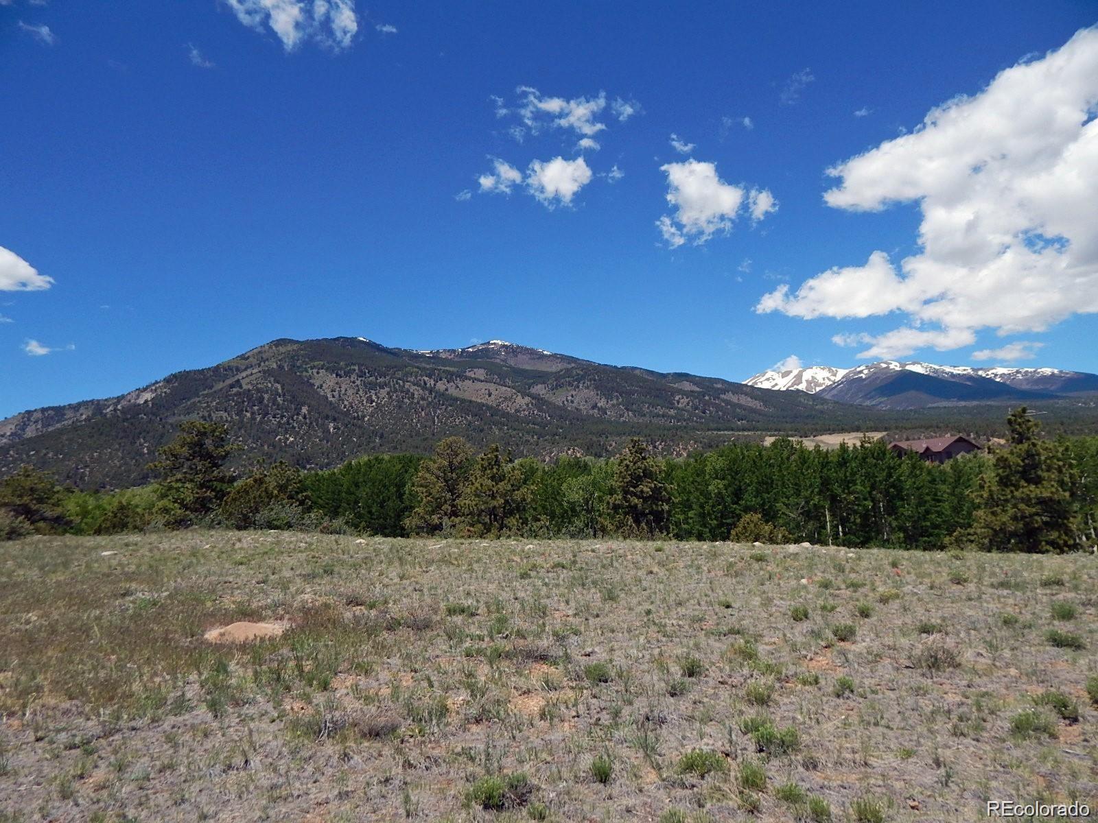 17520 County Road 306 Buena Vista CO 81211