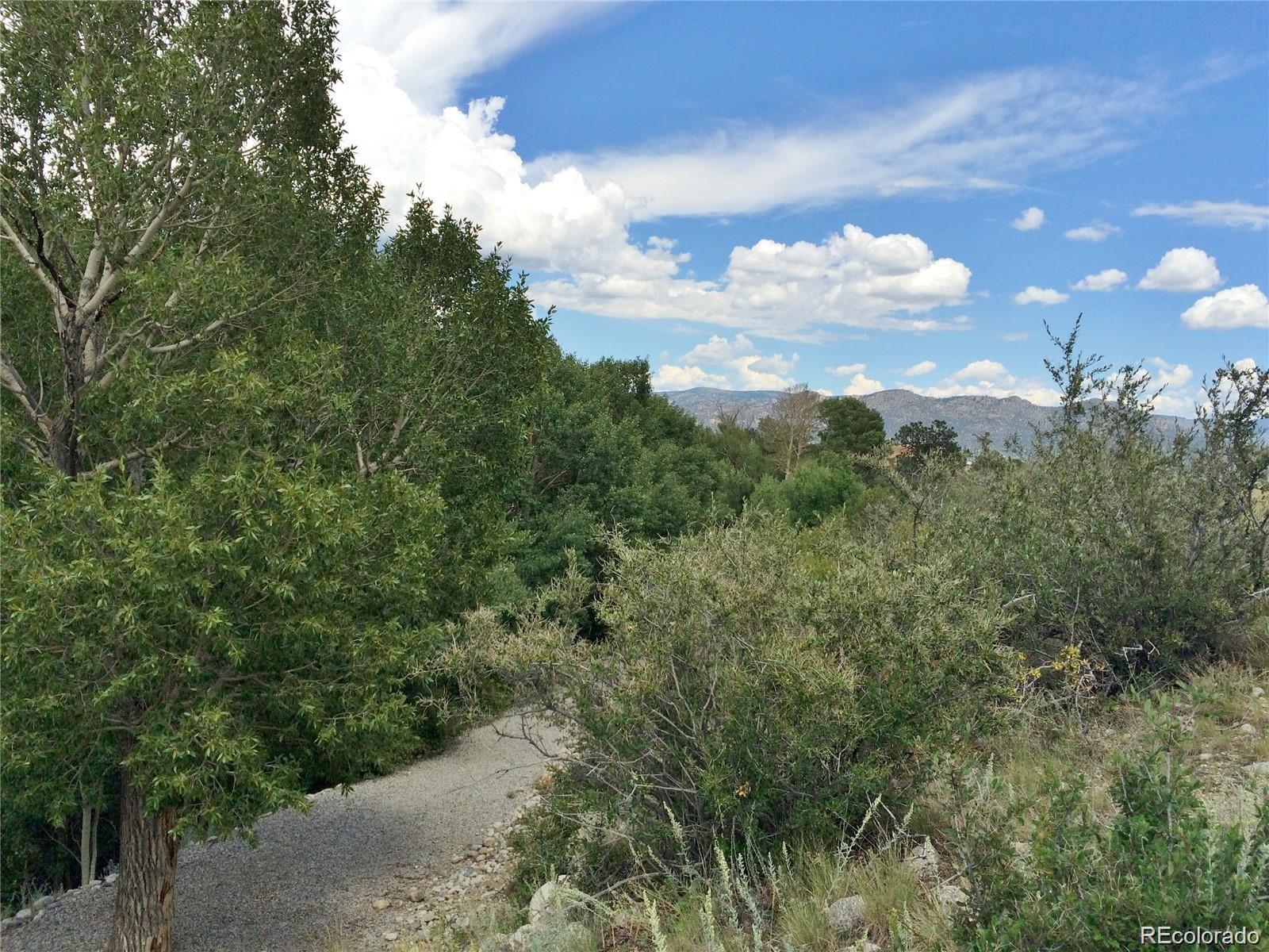 17520 County Road 306 Buena Vista CO 81211