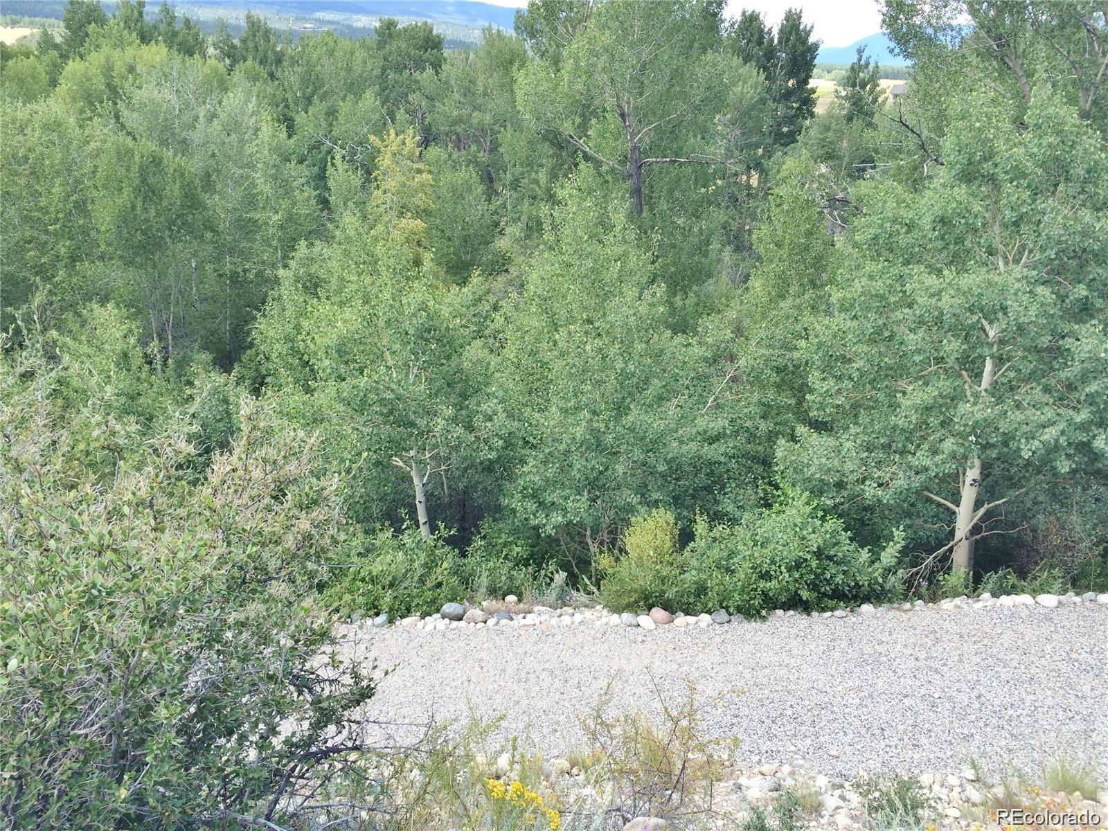 17520 County Road 306 Buena Vista CO 81211