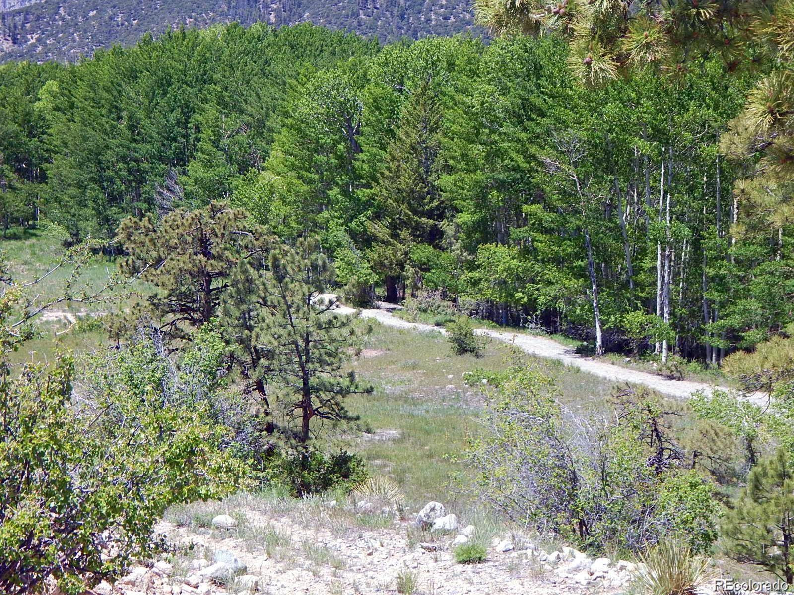 17520 County Road 306 Buena Vista CO 81211